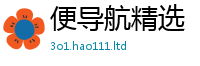 2025精准资料大全免费如王中王493333特马王中王